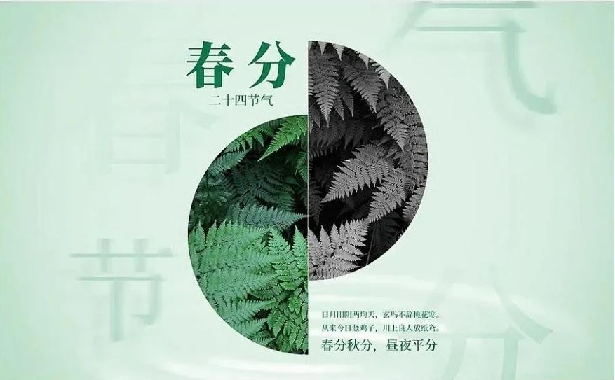 微信图片_20250320084842.jpg